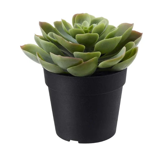 FEJKA Artificial potted plant with pot, in/outdoor Succulent