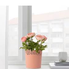 SAMVERKA Plant Pot, light pink 11cm