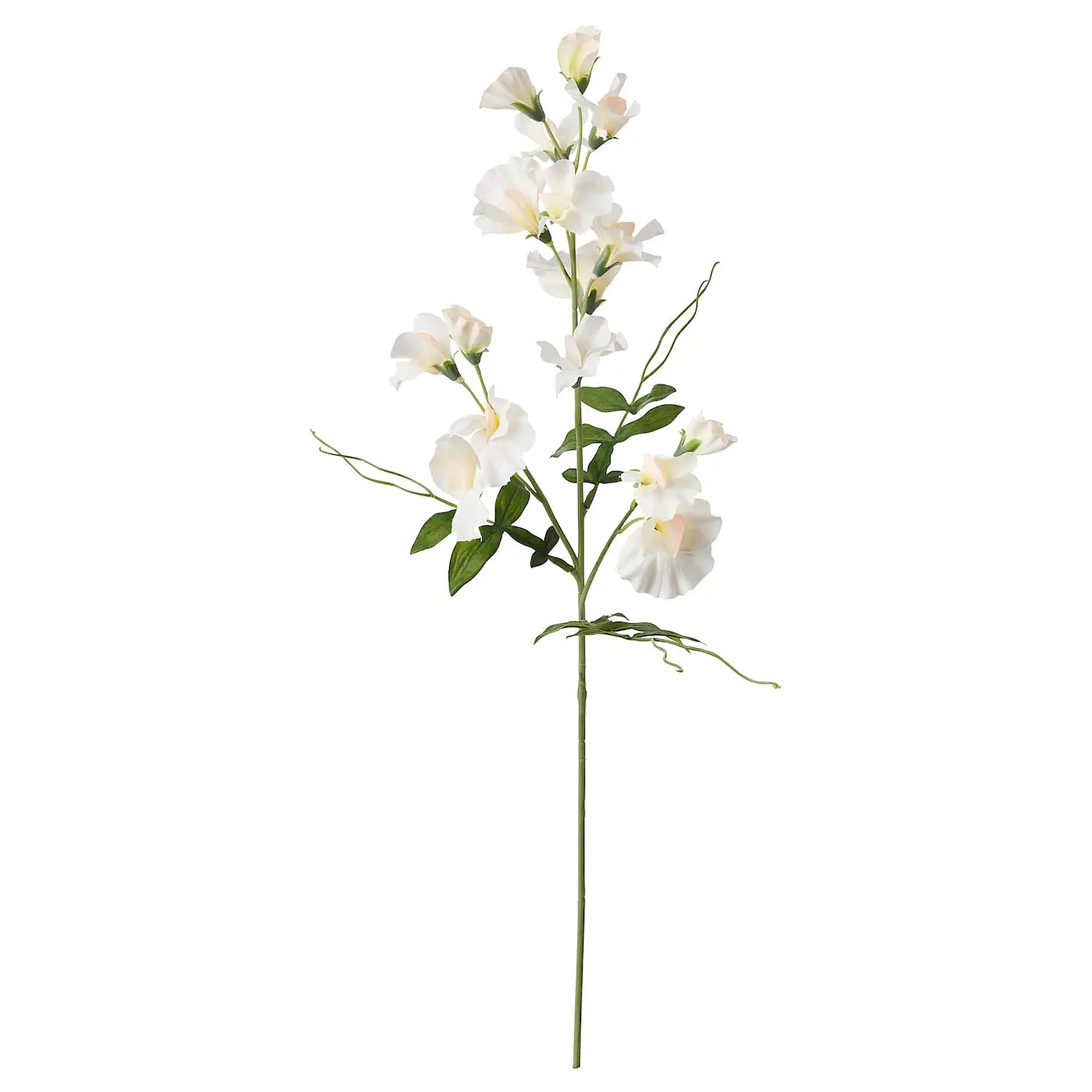 SMYCKA Artificial flower, Sweet pea/white, 60 cm